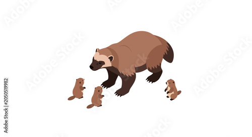 Mother Badger Walking Alongside Her Three Cubs.
