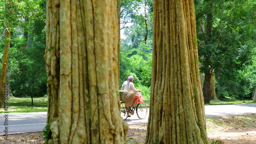 Fotografía A local resident cycling down a quiet road near the Angkor Thom temple complex in Cambodia
