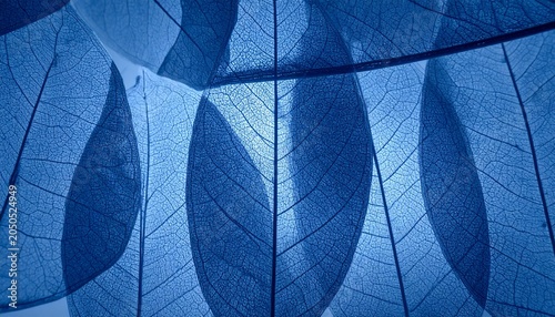 Close-up view of blue leaf veins on a plant leaf in nature