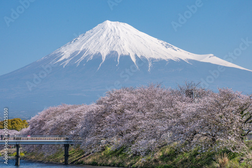 mt fuji in japan