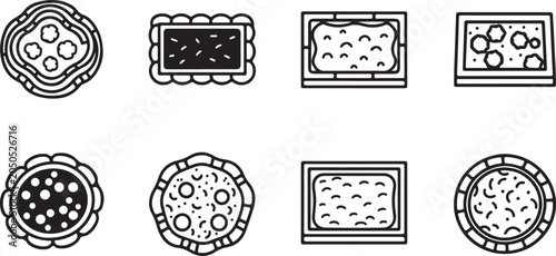 Bild auf Leinwand set of Illustrations of cell division and organelle structures in plant and anim