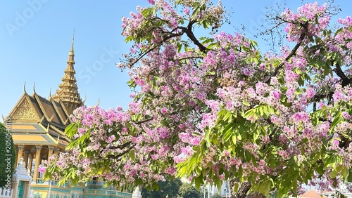 Εκτύπωση καμβά Vibrant purple flowers bloom before the golden architecture of the Royal Palace in Phnom Penh