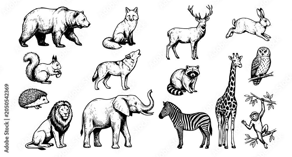 Obraz premium Hand Drawn Animals Vector Collection Wildlife Sketch Illustration Set