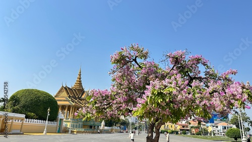 Tablou pe pânză Vibrant purple flowers bloom before the golden architecture of the Royal Palace in Phnom Penh