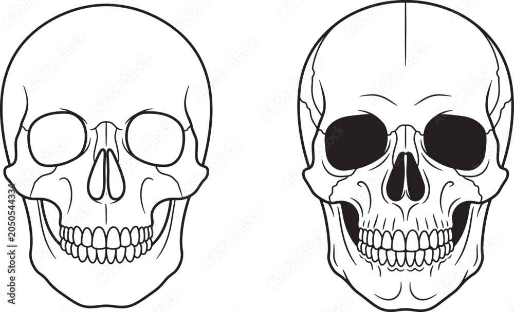 Obraz premium Two skulls, one with empty eye sockets and the other with black eye sockets
