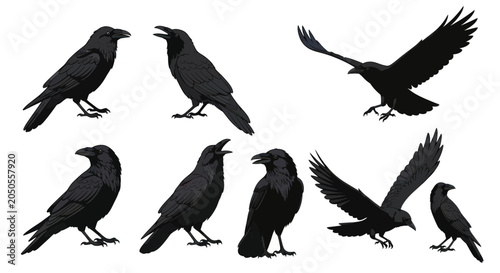 Quadro su tela Collection of Black Ravens and Crows in Various Poses - Isolated on White