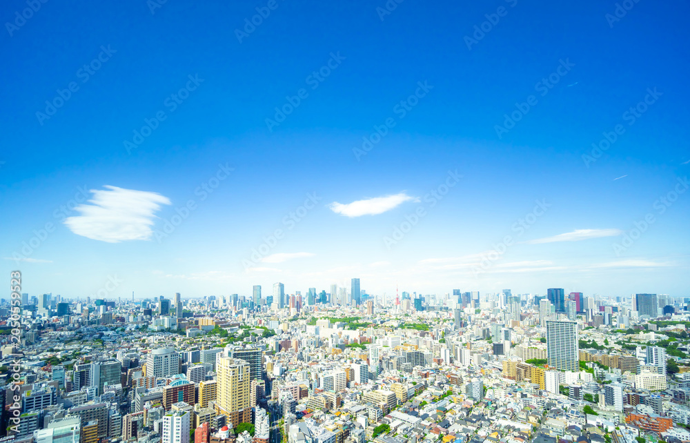 Naklejka premium 初夏の東京風景