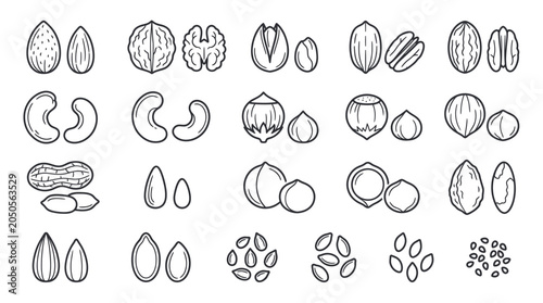 Assorted Nuts and Seeds Icon Set: Healthy Food Vector Illustrations