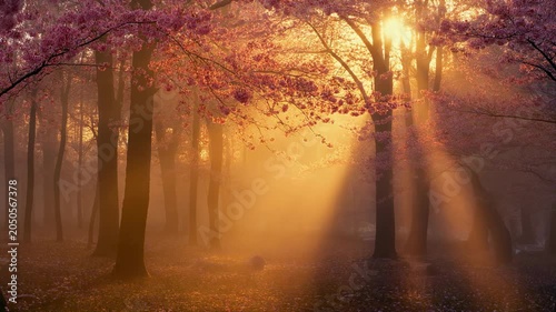 Golden Sunbeams Through Cherry Blossom Trees in Mist 4K Generative AI