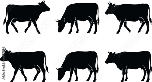 Bild auf Leinwand Cow silhouettes vector set featuring dairy cattle grazing walking and standing positions isolated on white background for farm and agricultural design elements