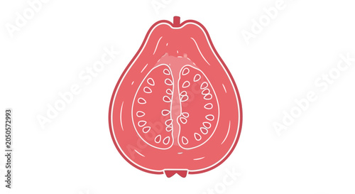 Bilde på lerret Pomegranate Fruit Interior Seeds Arils.
