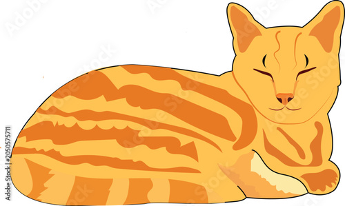 Orange tabby cat vector illustration with white background