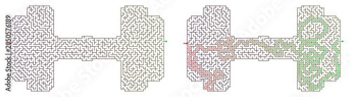 Canvastavla Logic game with labyrinths in dumbbell shape highlighting solutions