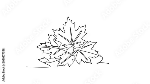 Fallen autumn leaves on the ground. Autumn concept. Single line draw design. Full length animation illustration. High quality 4k footage