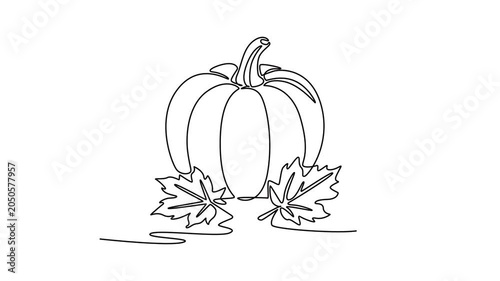 Pumpkin with autumn leaves decoration. Autumn concept. Single line draw design. Full length animation illustration. High quality 4k footage