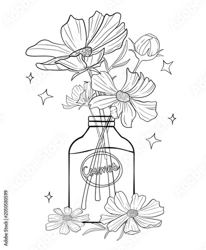 Cosmos flower in a bottle line art illustration for coloring book