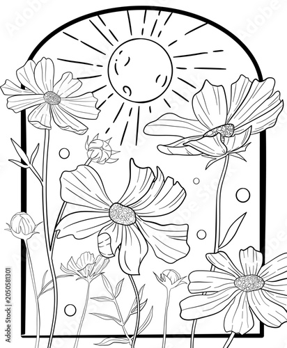 Cosmos Flowers and Moon Line Art Illustration for coloring page