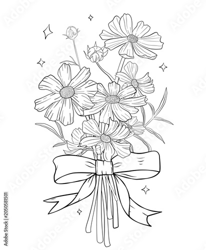 Cosmos Flower Bouquet Line Art Illustration for coloring page