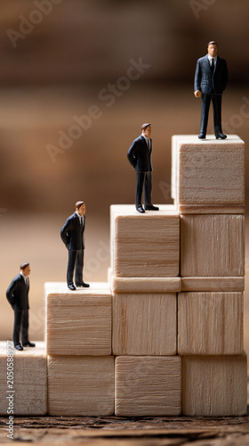 Business Ladder: Miniature ...