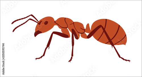 Bild auf Leinwand Red Ant Illustration On White Background Simplified Vector Design