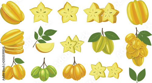 Konstfotografi Yellow Starfruit Carambola Vector Illustration Set with Whole Sliced and Leaf El
