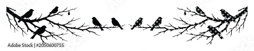 Foto Silhouette Birds on Bare Branches, Vector Illustration, Whimsical Nature Scene,