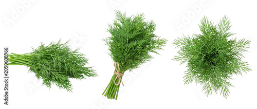 Bild auf Leinwand Fresh dill bunches with tied stems on transparent background