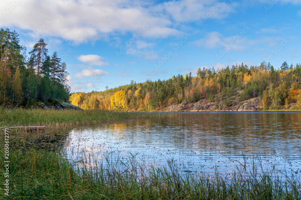 Fototapeta premium View from the shore of Lake Ladoga in the Ladoga Skerries National Park, near the village of Lumivaara, on a sunny autumn day, Republic of Karelia, Russia