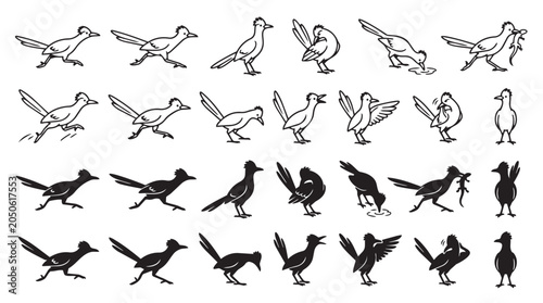 Roadrunner bird silhouette and line art icon collection with roadrunner wildlife silhouette