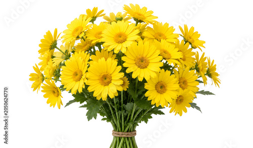 Yellow Daisy Flower Bouquet Floral Arrangement