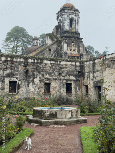 Quadro su tela Stone walls of Carmelite monastery with garden, Desierto de los Leones, Mexico C