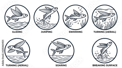 Flying Fish Motion Sequence: Gliding, Jumping, Swimming, Turning, Soaring, Breaking Surface
