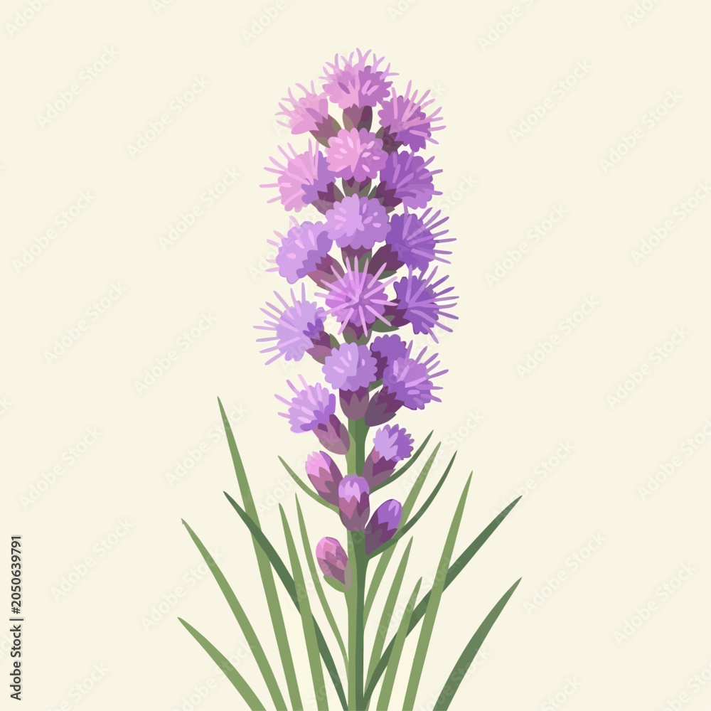 Obraz premium Beautiful Detailed Illustration of a Tall Purple Liatris Flower in Full Bloom