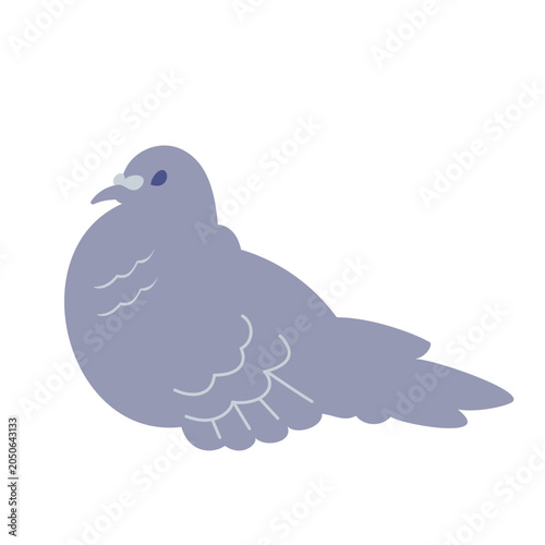 鳩