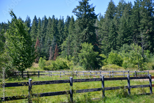 Wooden Ranch Fence with Evergreen Forest, Rural Oregon