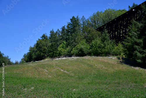 Historic Railroad Trestle with Green Hillside and Forest, Oregon
