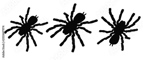 Foto Black spider silhouettes on white background, set of three creepy tarantula icon