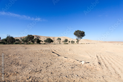 Israel, Negev Desert landscape