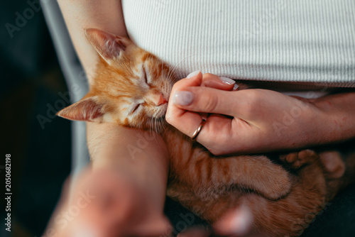A person holds a sleeping orange kitten in their arms, creating a cozy atmosphere. The kitten appears content as the person gently pets it, showcasing a bond between them