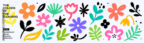 Bild auf Leinwand Collection of colorful abstract flower and leaf shapes with text