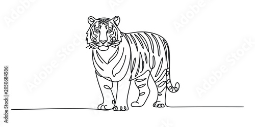 Photography Continuous single line drawing of a tiger standing