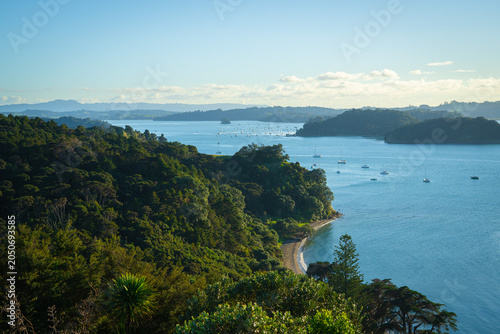 A bay with lush greenery and yachts, New Zealand