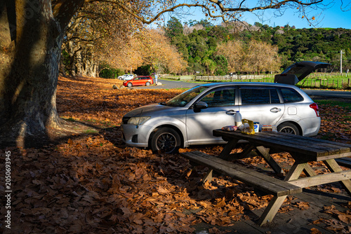 Autumn self-driving camping picnic, with fallen leaves covering the park lawns