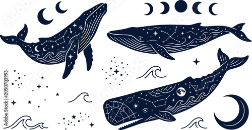 Fotografía Celestial Whale Collection with Moon Phases, Constellations, Stars, and Ocean Wa