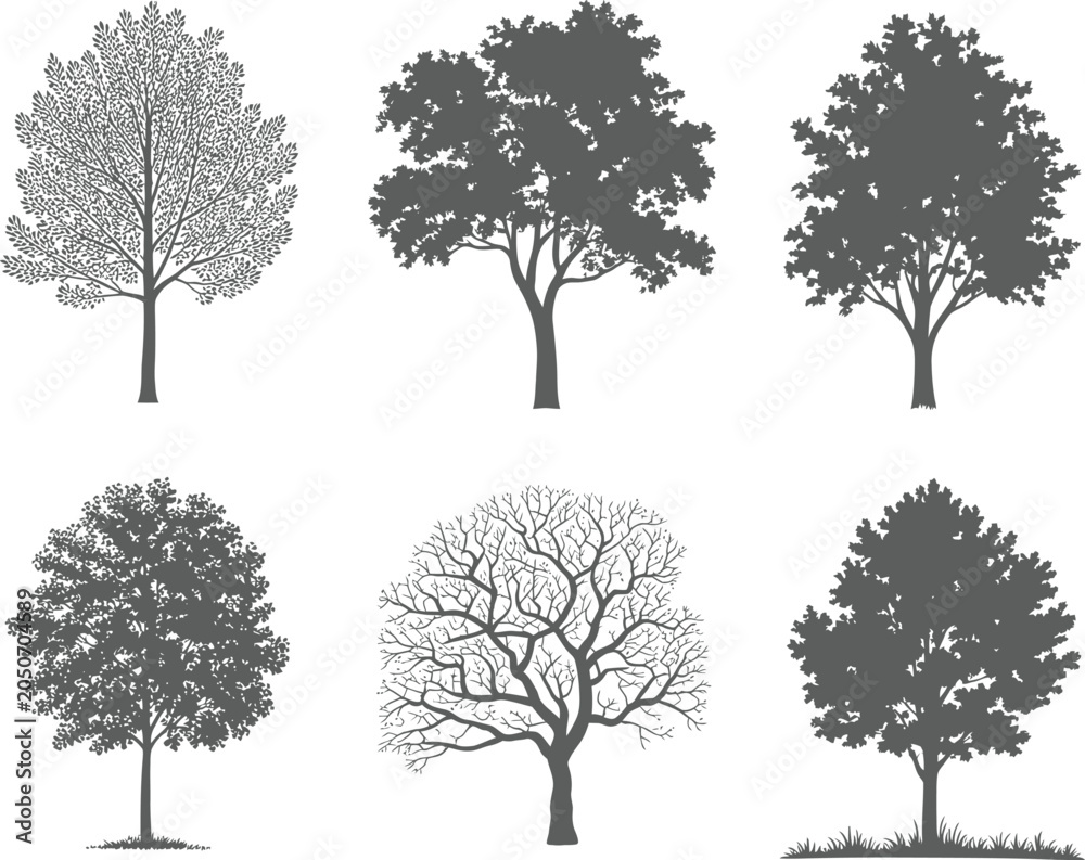 Obraz premium Tree Silhouettes Isolated on White Background