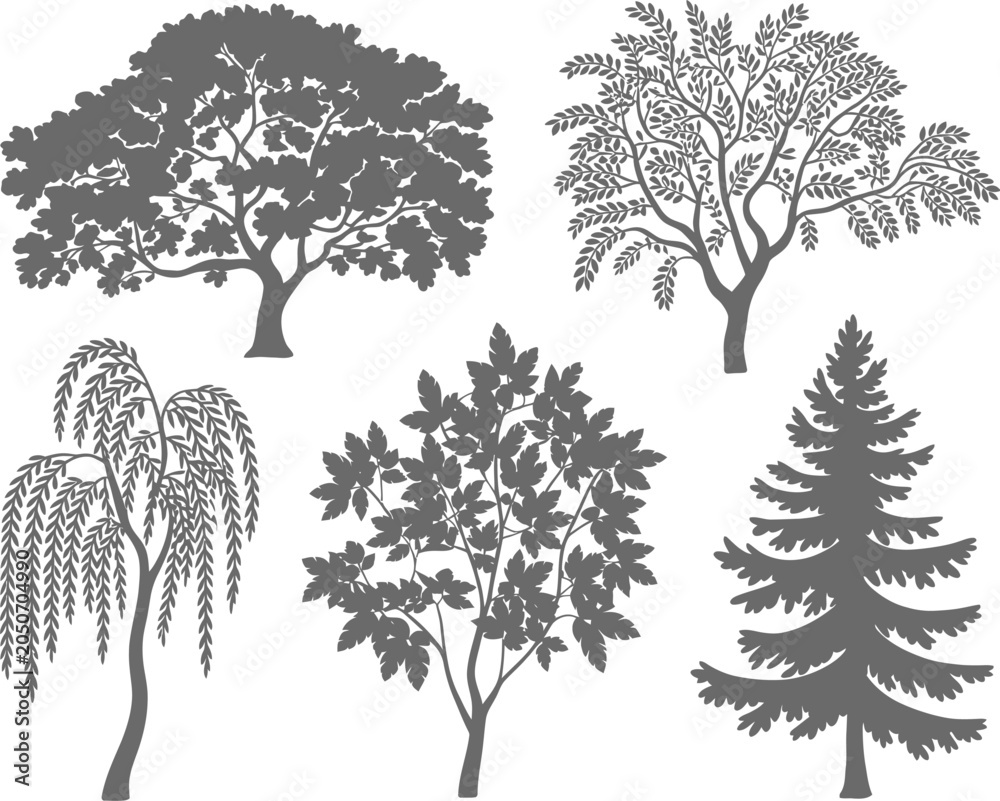 Fototapeta premium Tree Silhouettes on White Background