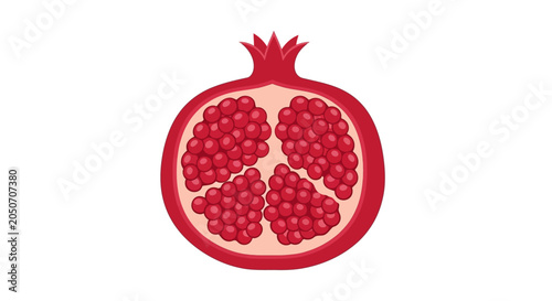 Tableau sur toile Pomegranate Fruit Cut Open Illustration.