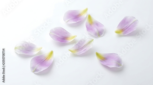 Rose petals on a white surface delicate floral arrangement