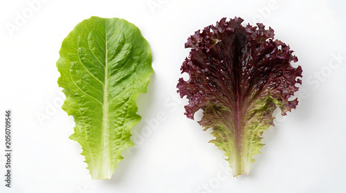 Green And Red Leaf Lettuce On White Background Produce Photography