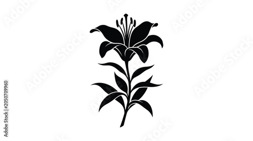 Tableau sur toile black lily flower silhouette on white background botanical nature stem petal lea